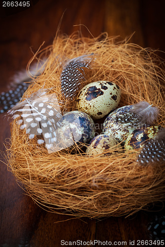 Image of Easter still life with quail eggs