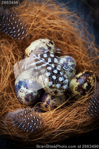 Image of Easter still life with quail eggs