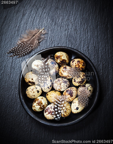 Image of Easter still life with quail eggs