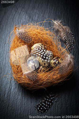 Image of Easter still life with quail eggs