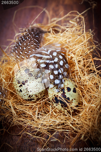 Image of Easter still life with quail eggs