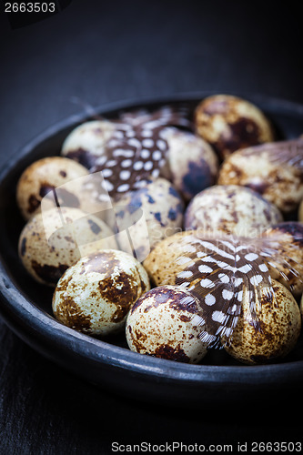 Image of Easter still life with quail eggs