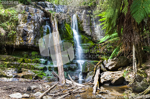 Image of waterfall Tasmania