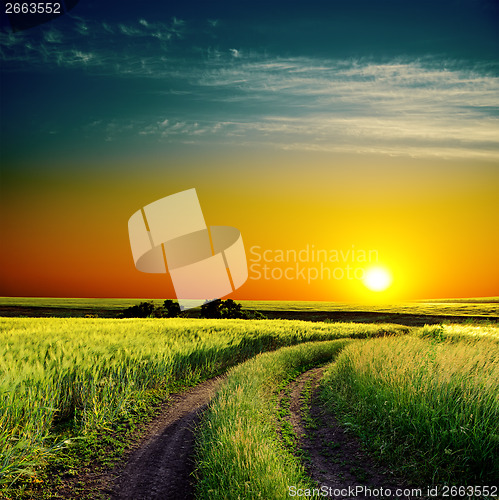 Image of good sunset and road to horizon in green field