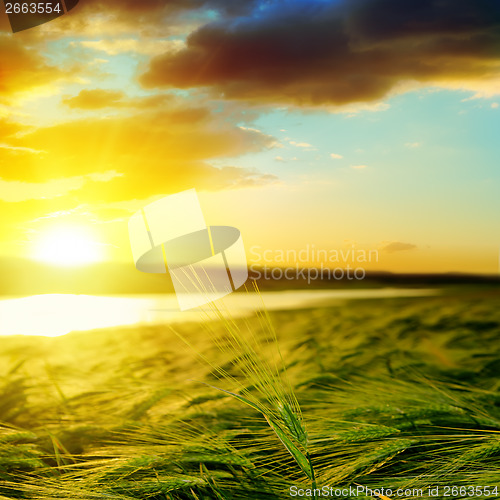 Image of sunset over green field near water