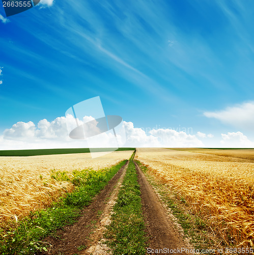 Image of road in golden harvest to cloudy horizon