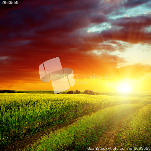 Image of red sunset over dirty road in green field