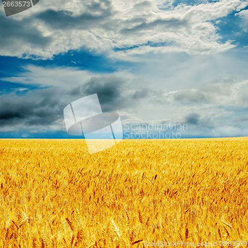 Image of dramatic sky and golden barley