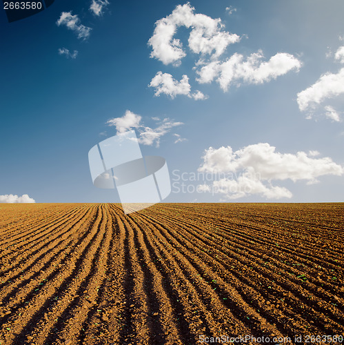 Image of plowed field and blue sky in sunset