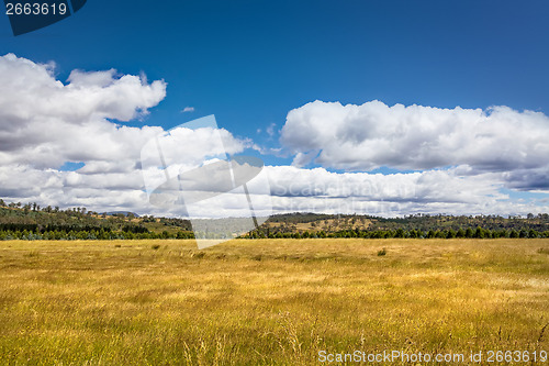 Image of Tasmania Landscape