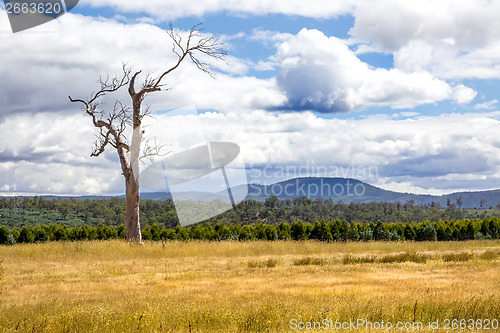 Image of Tasmania Landscape