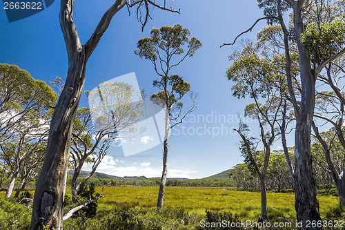 Image of Tasmania Landscape