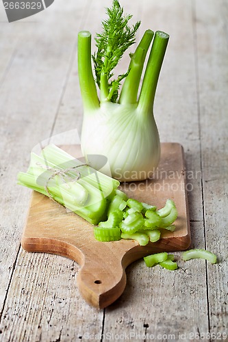 Image of fresh organic celery and fennel 