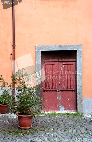Image of italian door