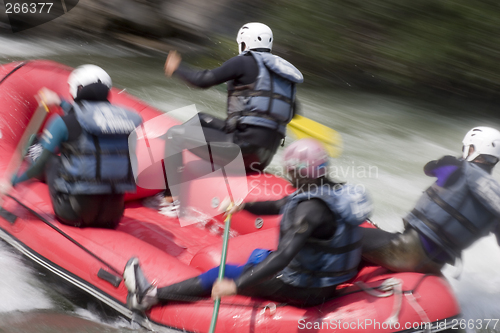 Image of White water rafting