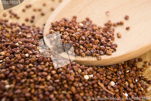 Image of Red Quinoa grain