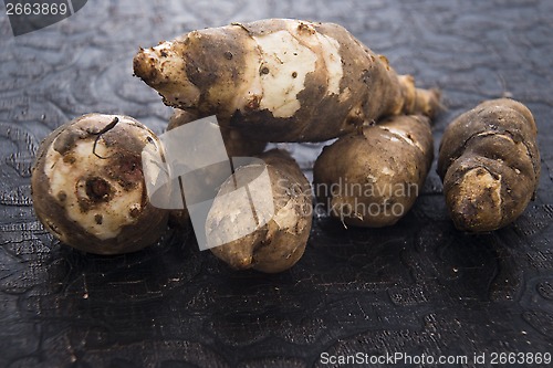 Image of Jerusalem artichoke