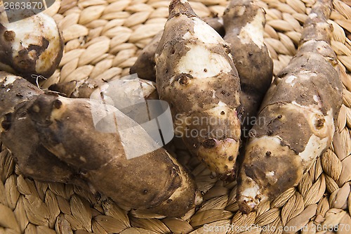 Image of Jerusalem artichoke