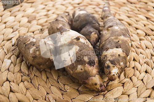 Image of Jerusalem artichoke