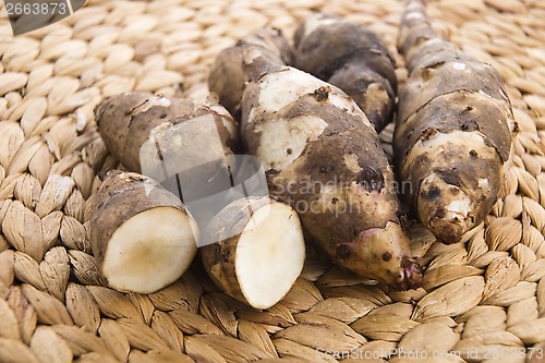 Image of Jerusalem artichoke