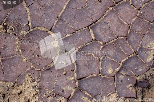 Image of cracked land