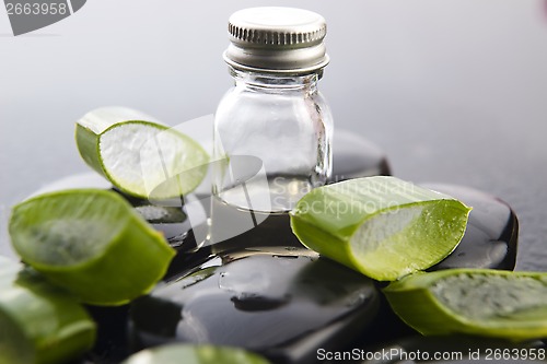 Image of Sliced aloe leaves with oil on the stone