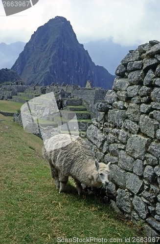 Image of Machu Picchu