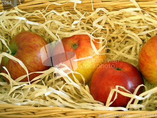 Image of Apples in a basket