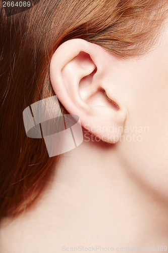 Image of Human ear closeup