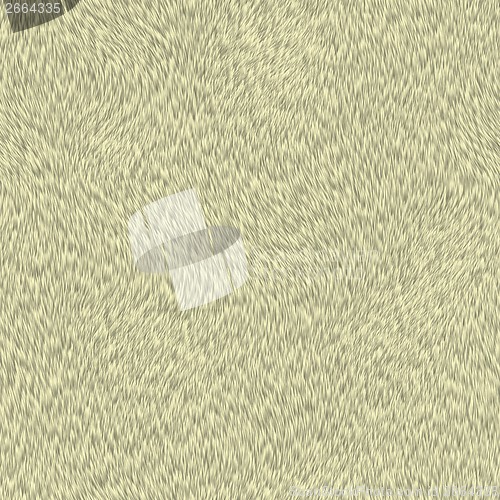 Image of no caption
