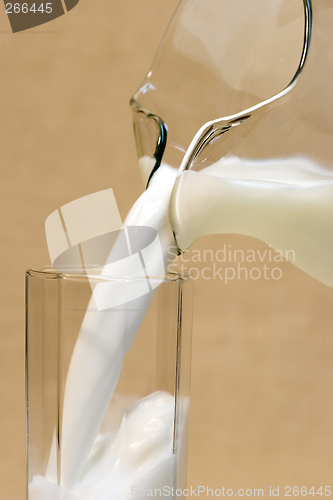 Image of Milk