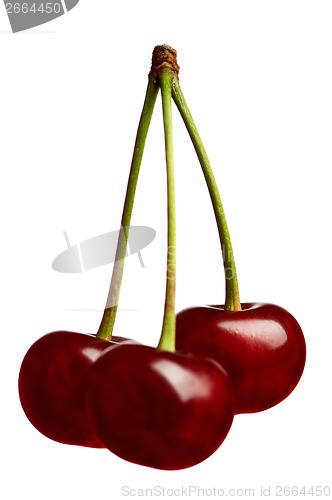 Image of Sweet cherries