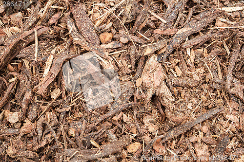 Image of garden bark mulch texture