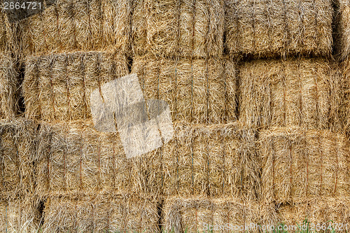 Image of wall surface of the straw bales