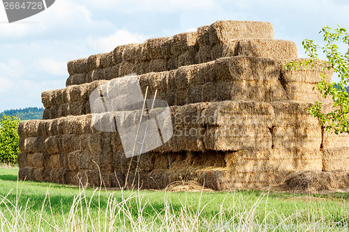 Image of Hay stacks in a field and blue sky 