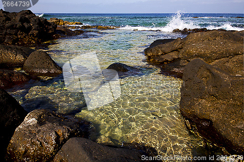 Image of froth coastline in lanzarote spain     musk  and summer    