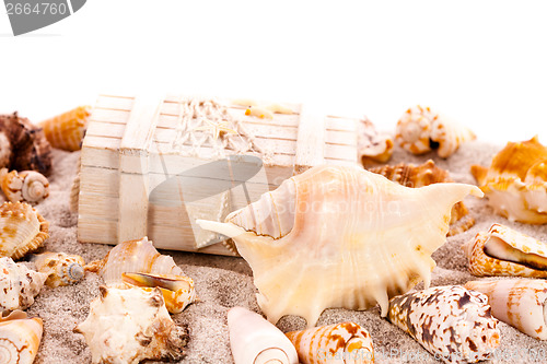 Image of Background with seashells and treasure chest