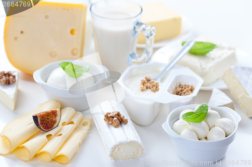 Image of Assortment of different dairy products