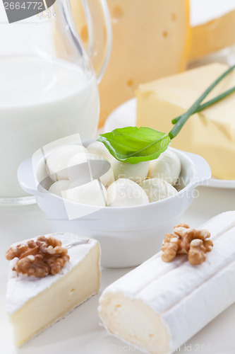 Image of Assortment of different dairy products