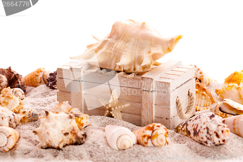 Image of Background with seashells and treasure chest