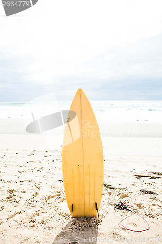 Image of Surfboard standing upright in sand