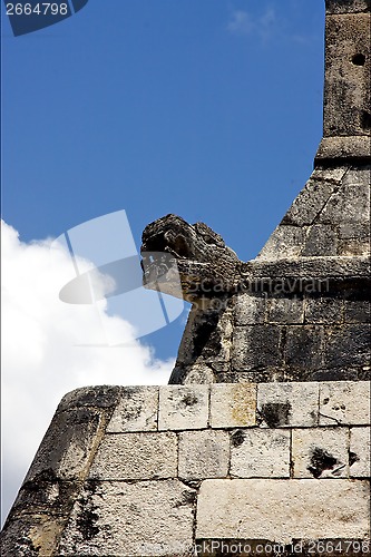 Image of  snake in wall  mexico