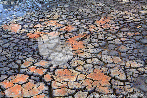 Image of Druoght  Rain falls on dry parched cracked earth