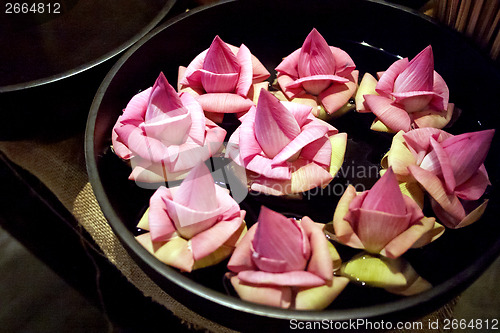 Image of Pink lotus flowers (the background)