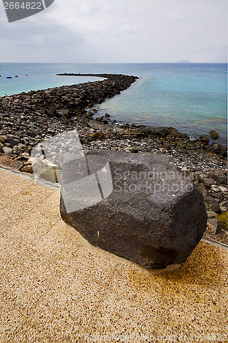 Image of pavment  in spain musk pond  and summer 