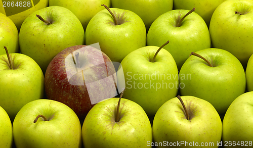 Image of lots of apples