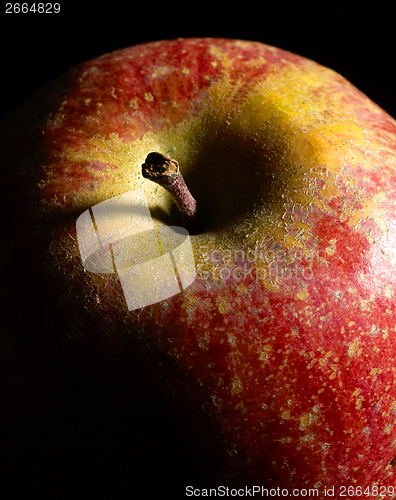 Image of red apple detail