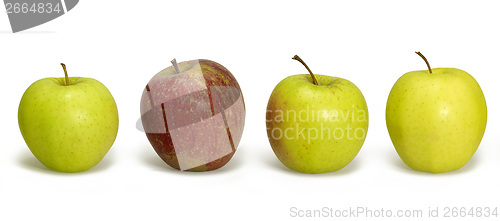 Image of apples in a row
