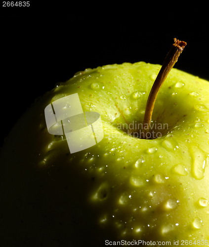 Image of wet green apple detail