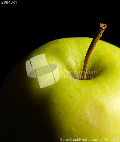 Image of apple detail